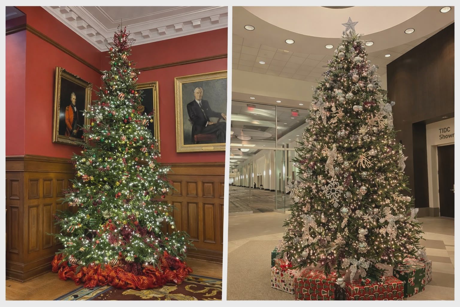 Landscaping Project 10