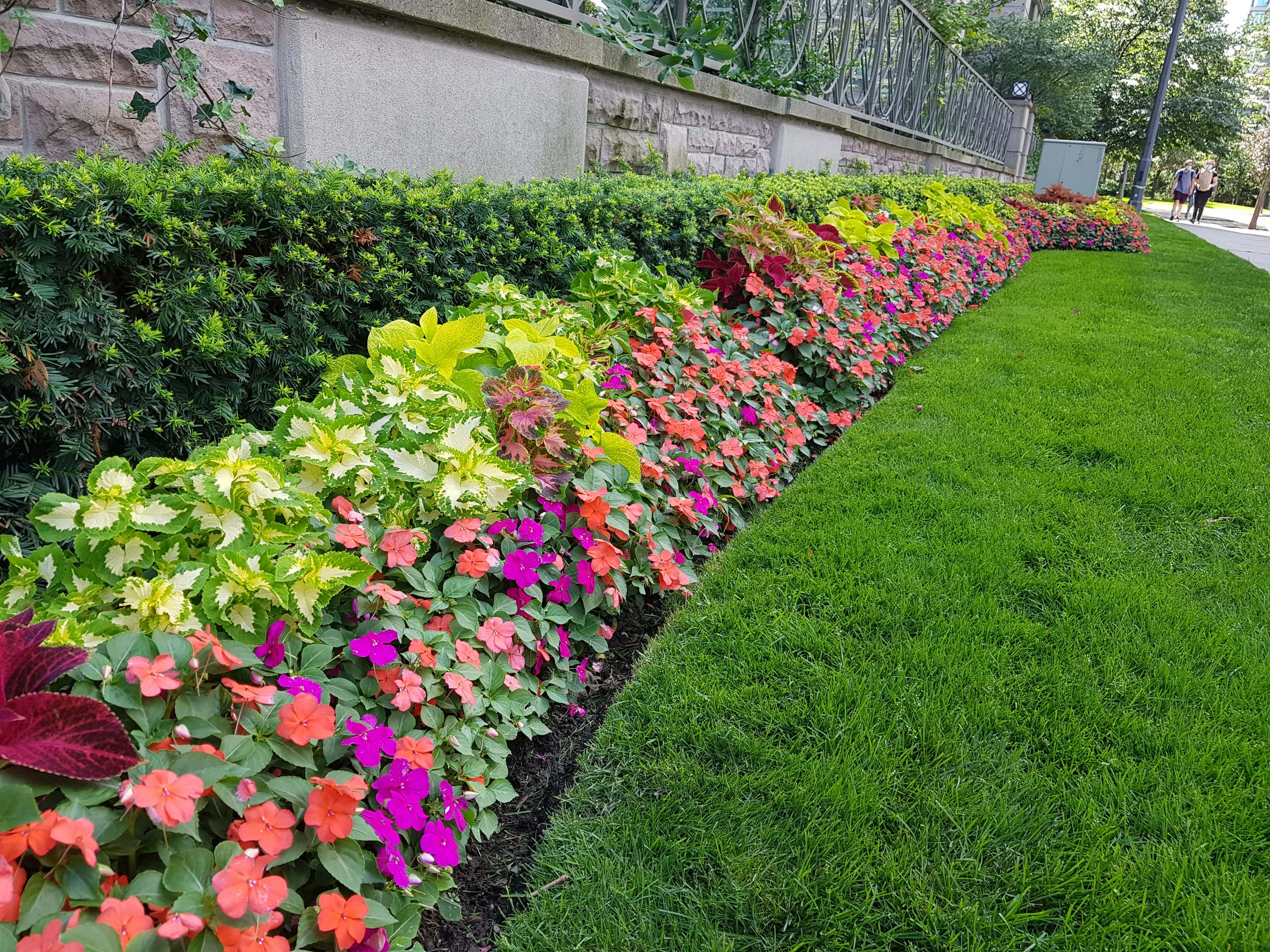 Landscaping Project 8