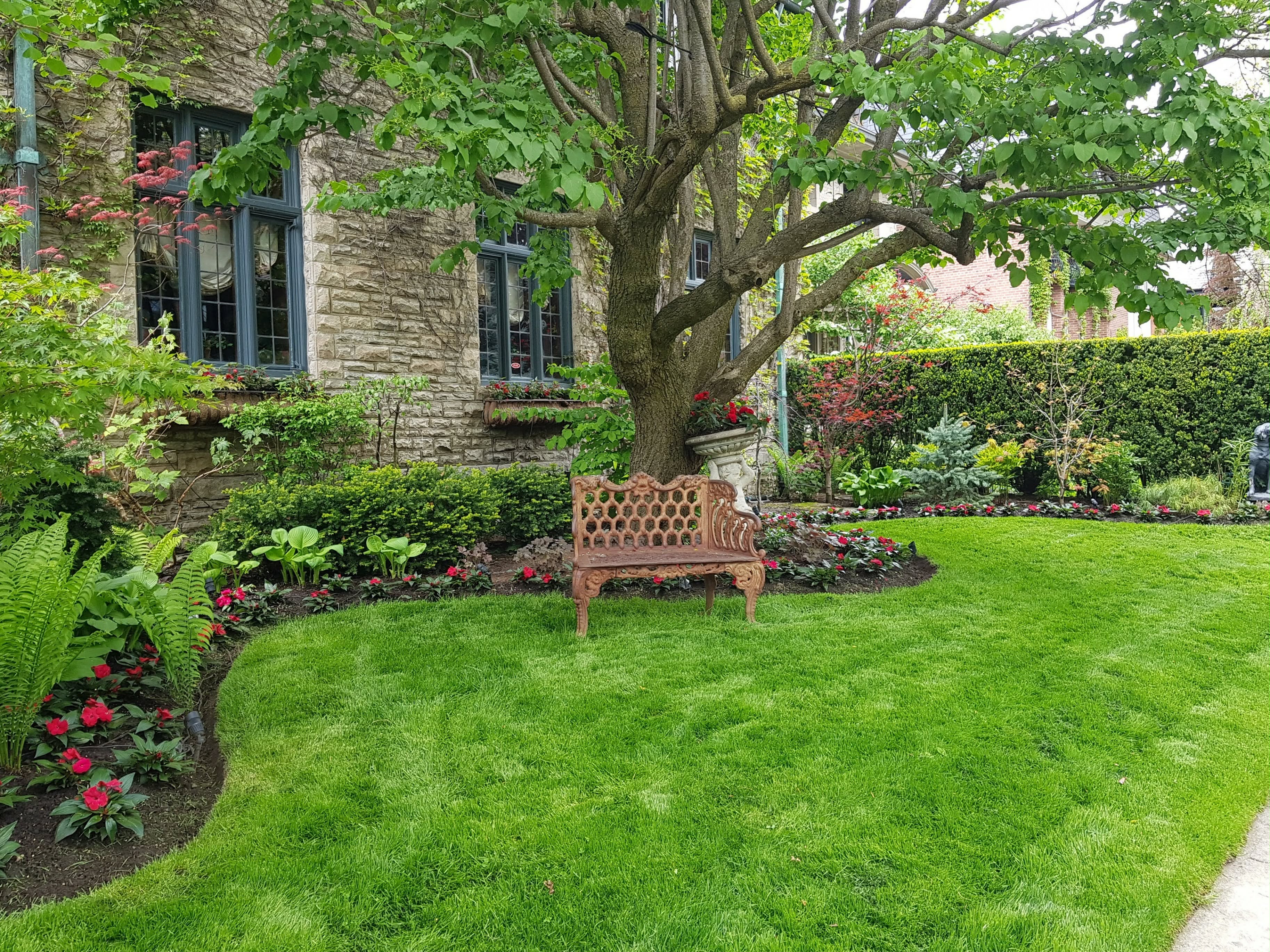 Landscaping Project 19